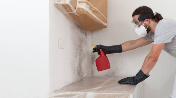 Professional Attic Mold Remediation technician working in Columbia, PA