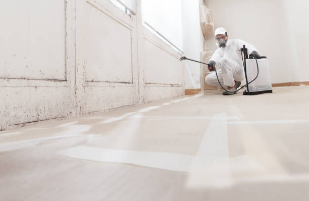 24/7 Emergency Attic Mold Remediation experts in Columbia, PA