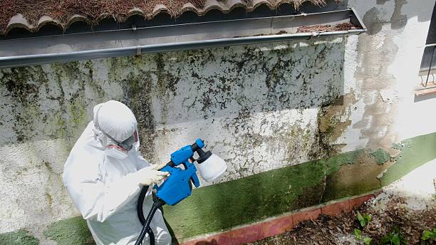 Top rated local Attic Mold Remediation specialists in Columbia, PA